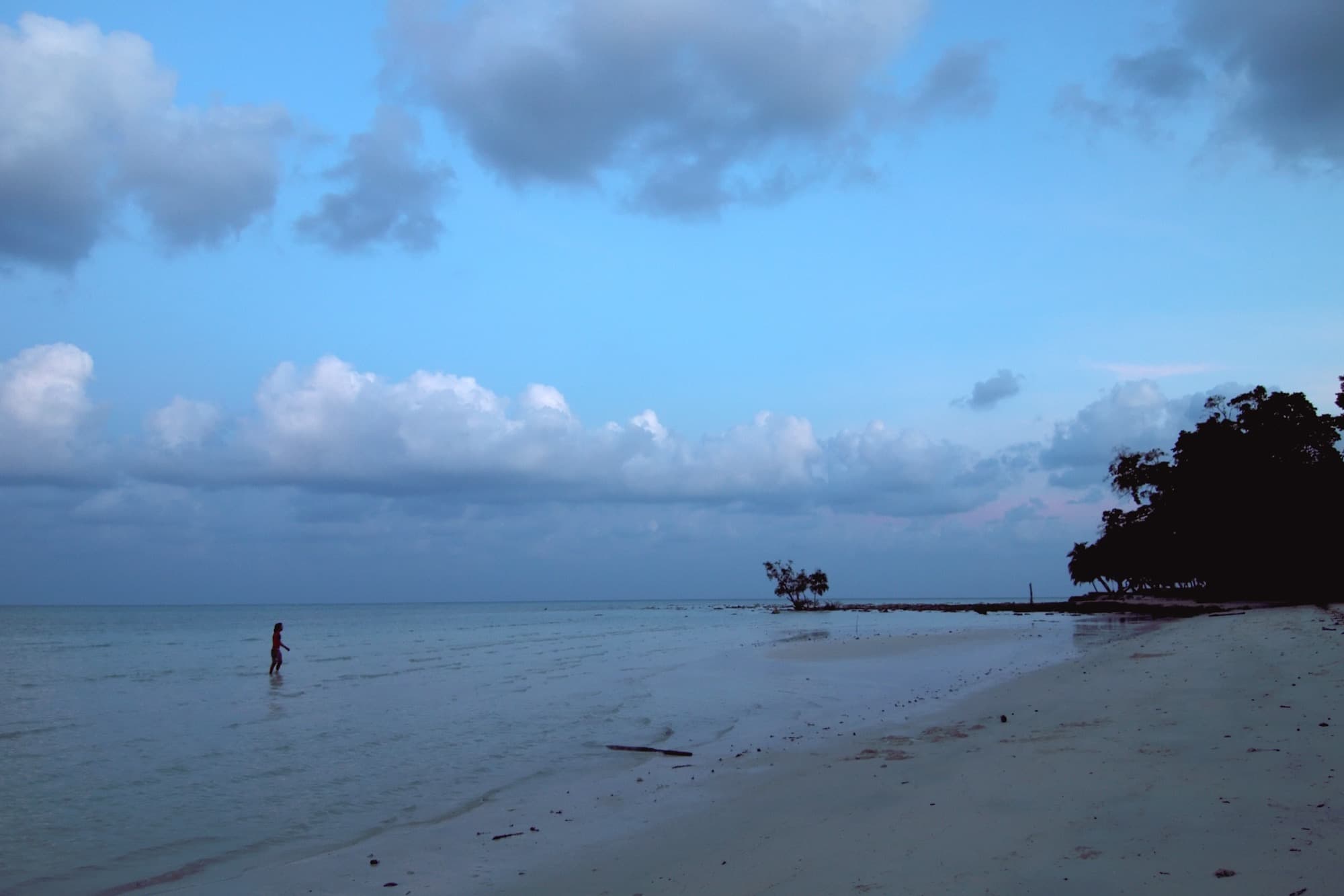 Evening light on Radhanagar Beach
