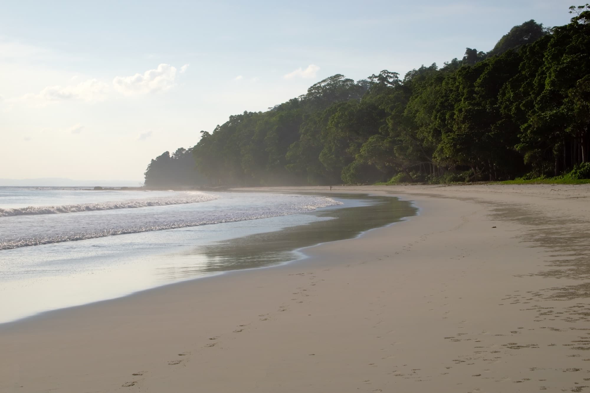 Radhanagar Beach on Havelock, forest meeting the sand